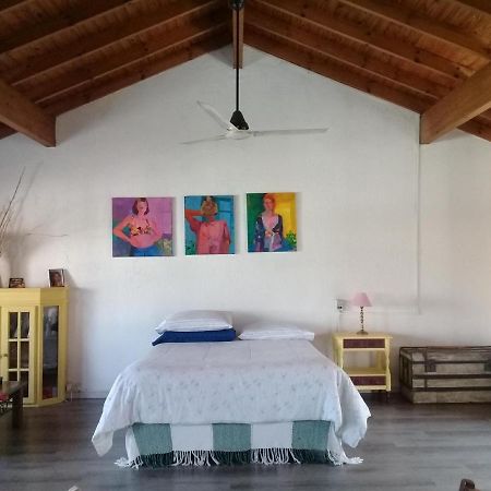 La Casa De Los Murales Avellaneda  Eksteriør bilde